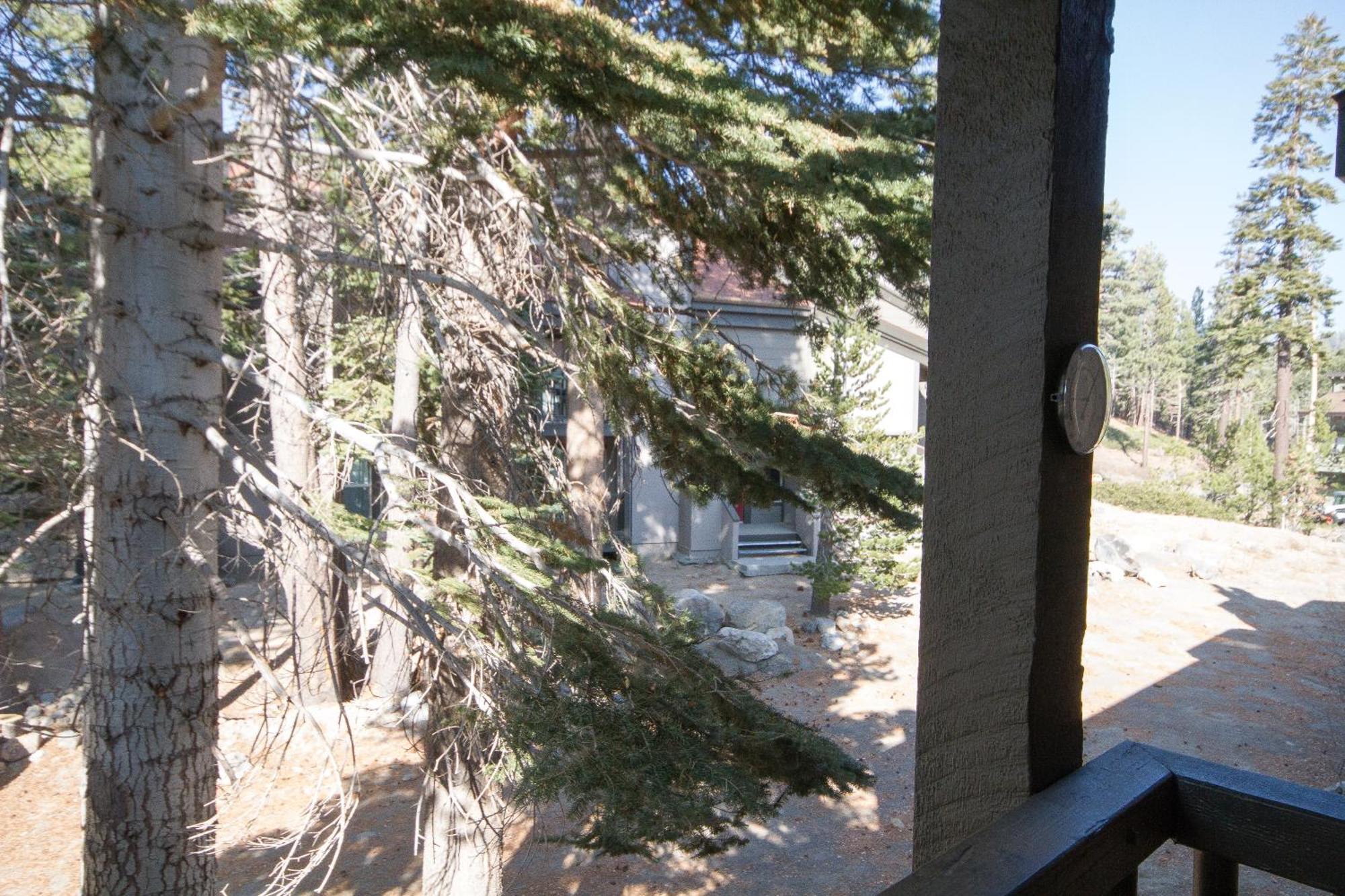 Chamonix #36 Villa Mammoth Lakes Bagian luar foto